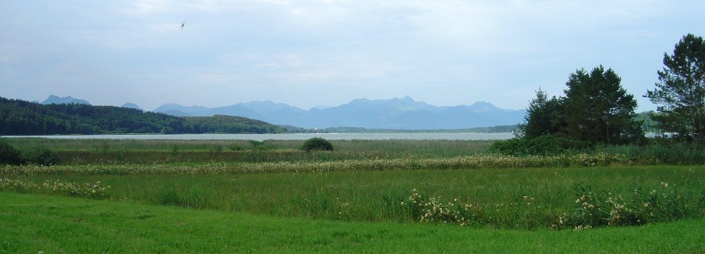 Ostufer des Simssees